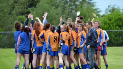 Ladies Senior Championship v St. Pats Donagh 2015