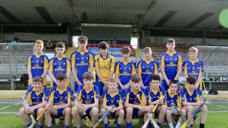 U15 Hurling Season Comes to a Close in Brewster Park