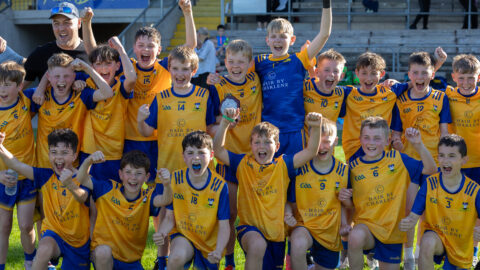 U12 Division 2 Final 2024 Gaels v Teemore